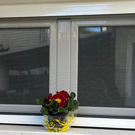 Bouganville Casa Vacanza Ambiente Climatizzato Con Wi Fi Pineto Eksteriør bilde