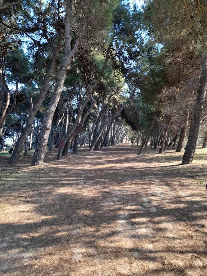 Bouganville Casa Vacanza Ambiente Climatizzato Con Wi Fi Pineto Eksteriør bilde