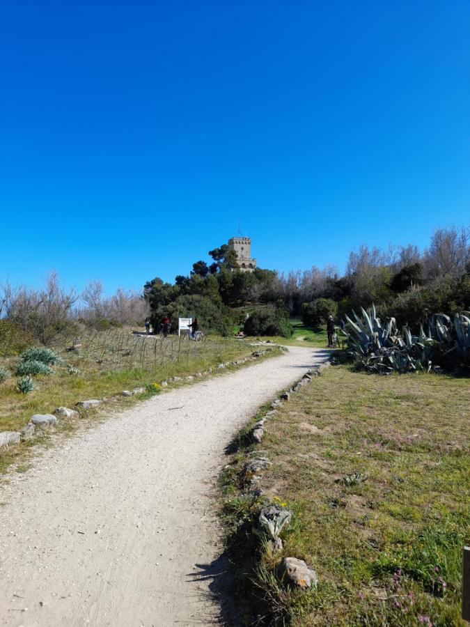 Bouganville Casa Vacanza Ambiente Climatizzato Con Wi Fi Pineto Eksteriør bilde