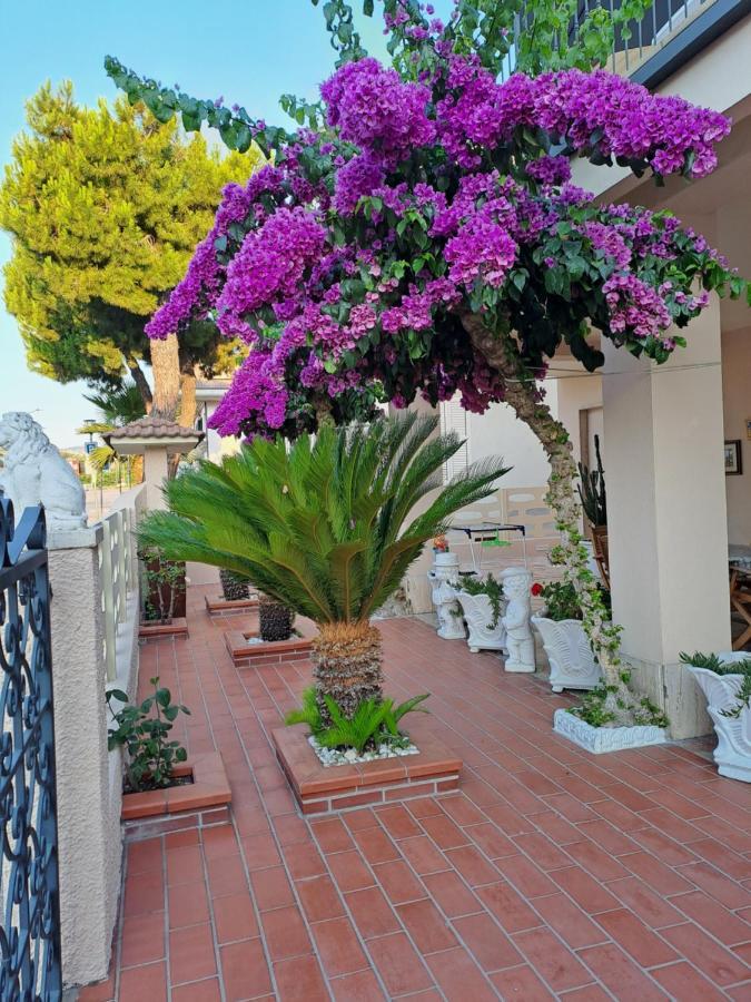 Bouganville Casa Vacanza Ambiente Climatizzato Con Wi Fi Pineto Eksteriør bilde